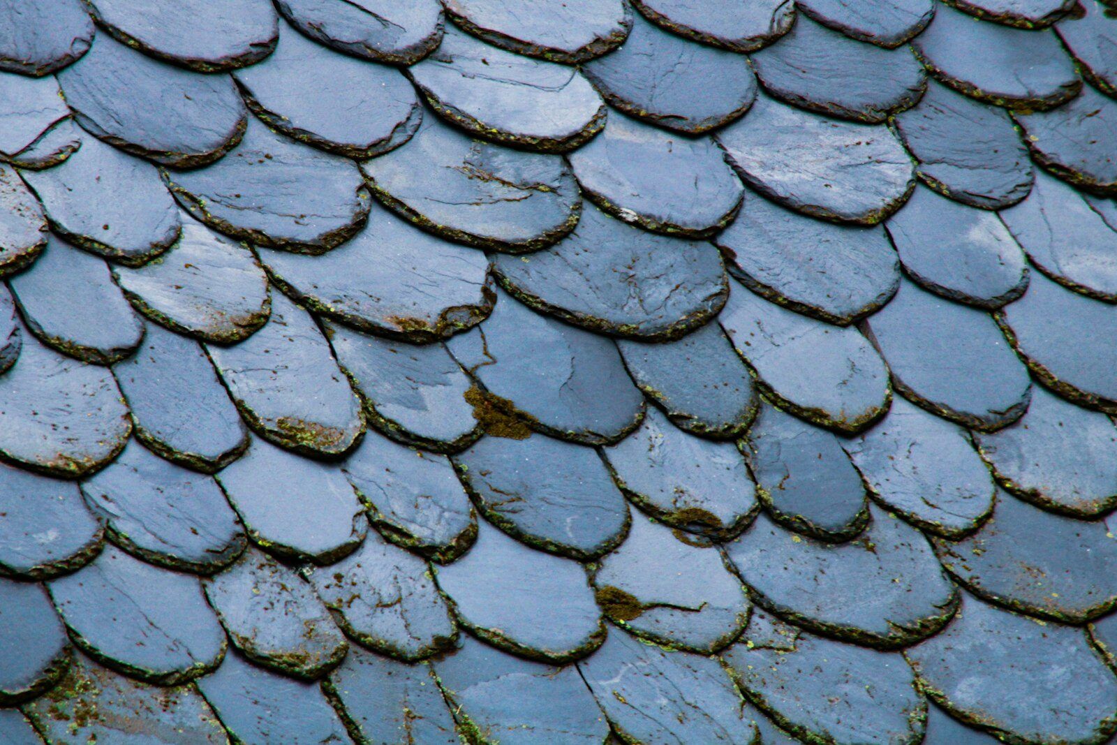 Naturschiefer-Fassade